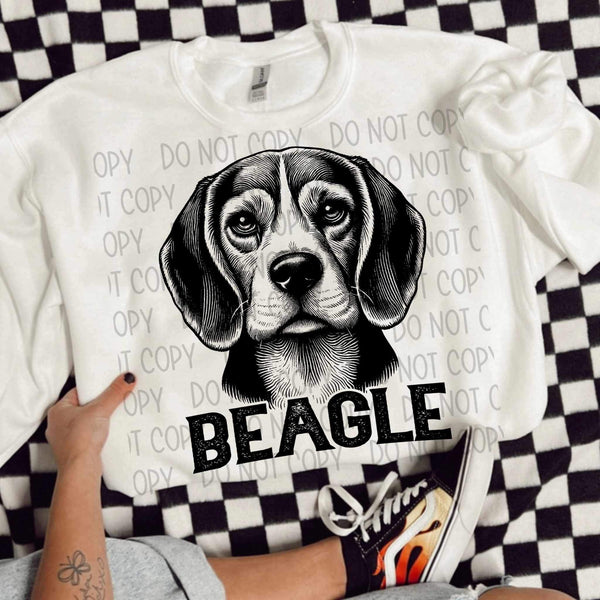 Beagle BLACK (SWD) 21632 DTF transfer
