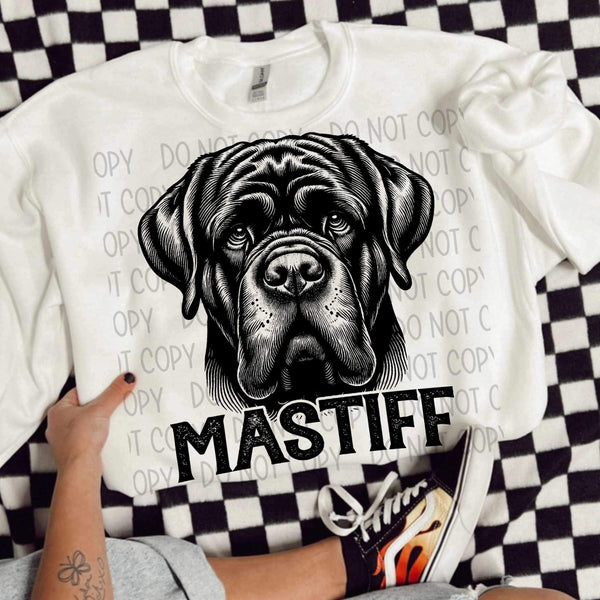 Mastiff BLACK (SWD) 21625 DTF transfer