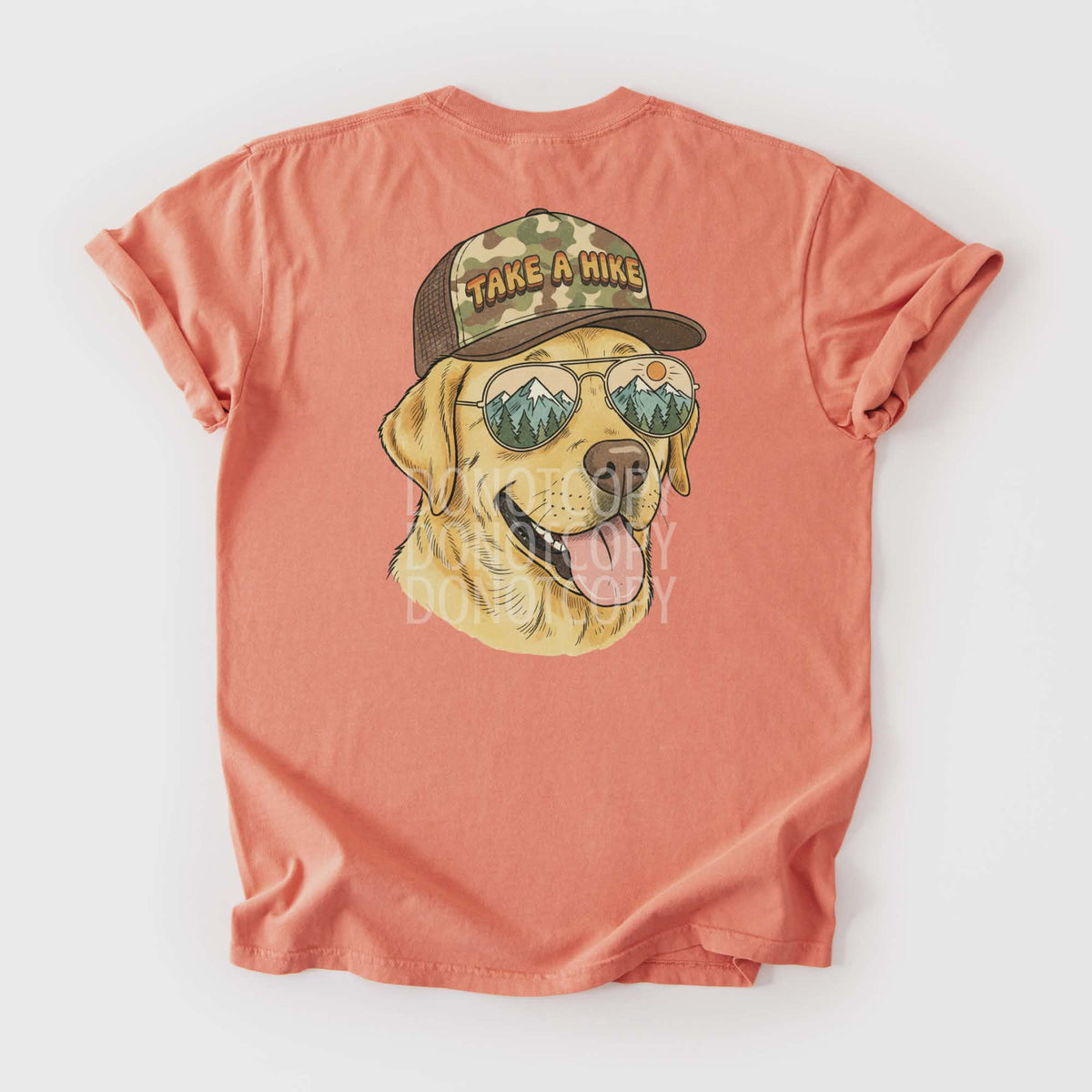 Take a hike dog with hat (CSG) DTF Transfer