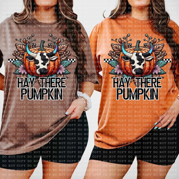 Hay there pumpkin (ECHT) 58767 DTF transfer