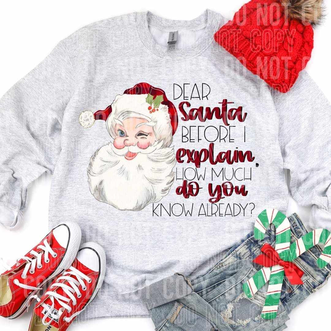 Santa before I explain, how much do you know already (SBB) 64665 DTF transfer