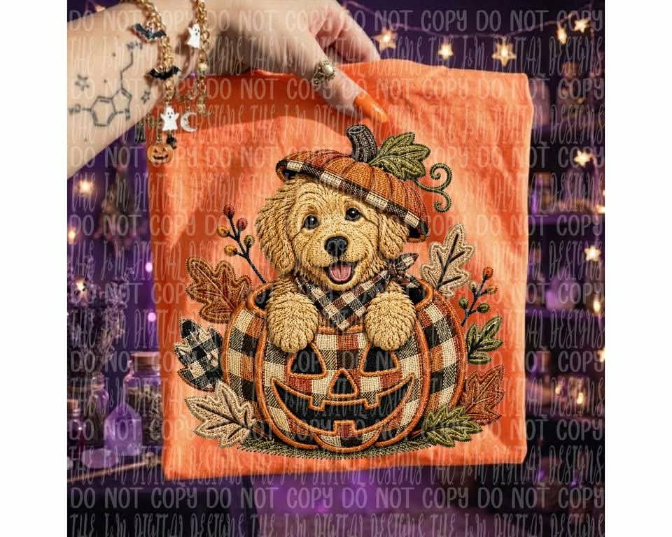 Brown lab in pumpkin (J&M) DTF transfer