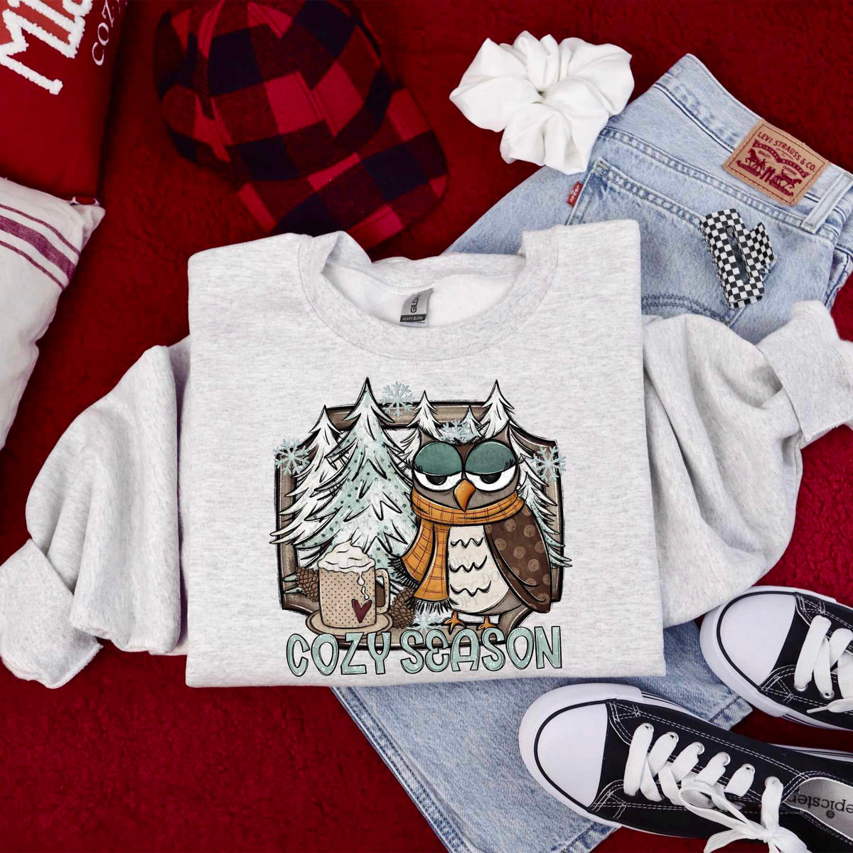 Cozy season owl 65252 DTF transfer