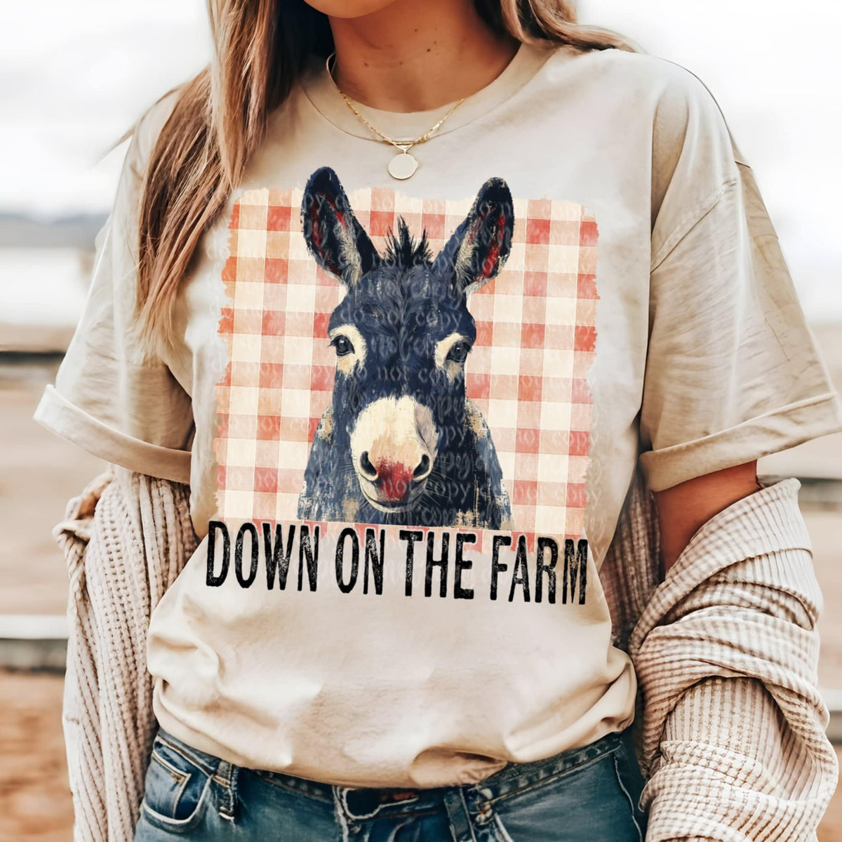Down on the farm donkey (TTD) 94353 DTF transfer