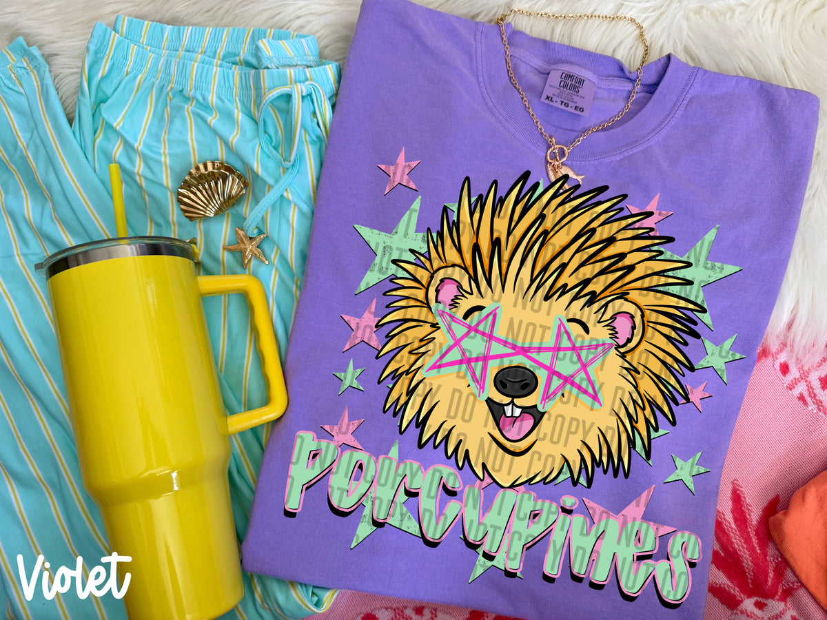 porcupines starry eyed (Caplinger) DTF Transfer