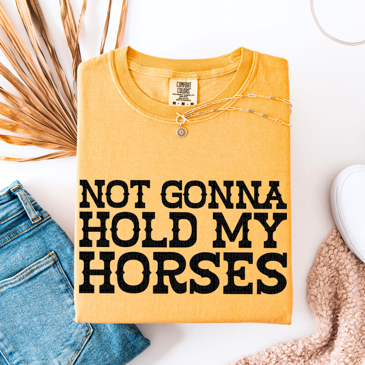 Not gonna hold my horses 95563 DTF transfer