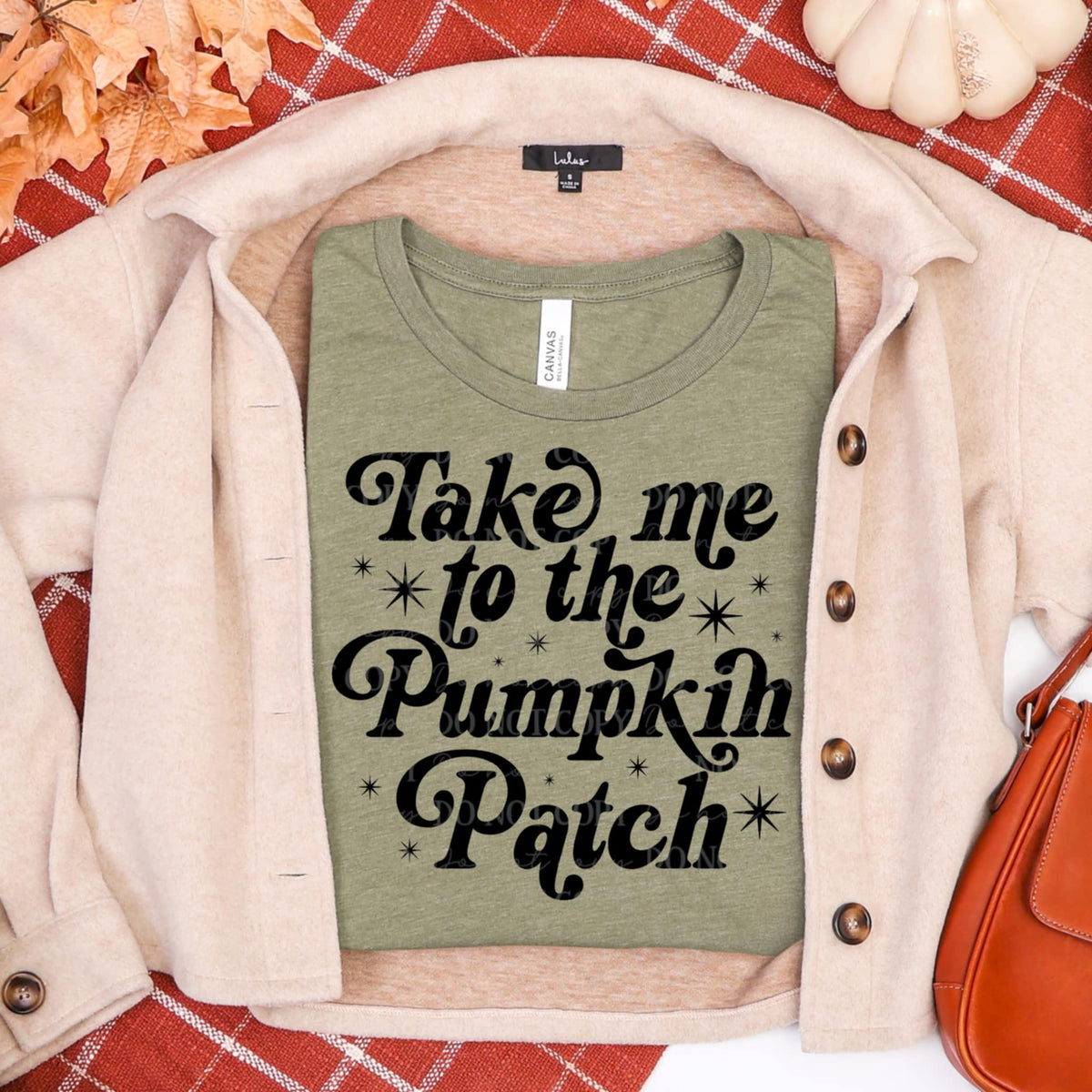 Take me to the pumpkin patch BLACK (abd) DTF transfer