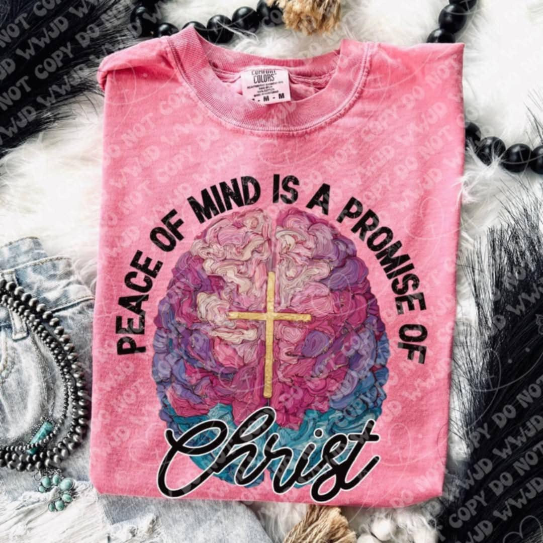 Peace of Mind is a promise of Christ DTF TRANSFER