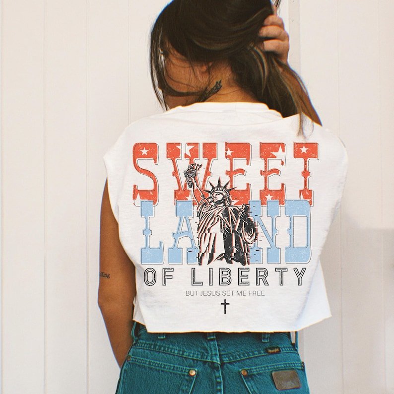 Sweet land of liberty orange and blue Sunday Special DTF transfer