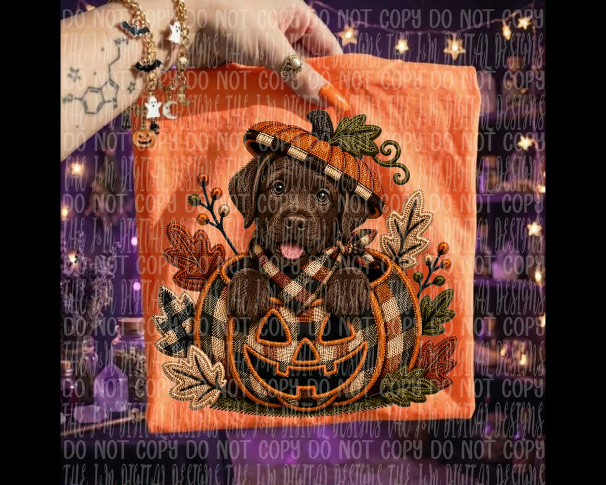 Chocolate lab in pumpkin (J&M) DTF transfer