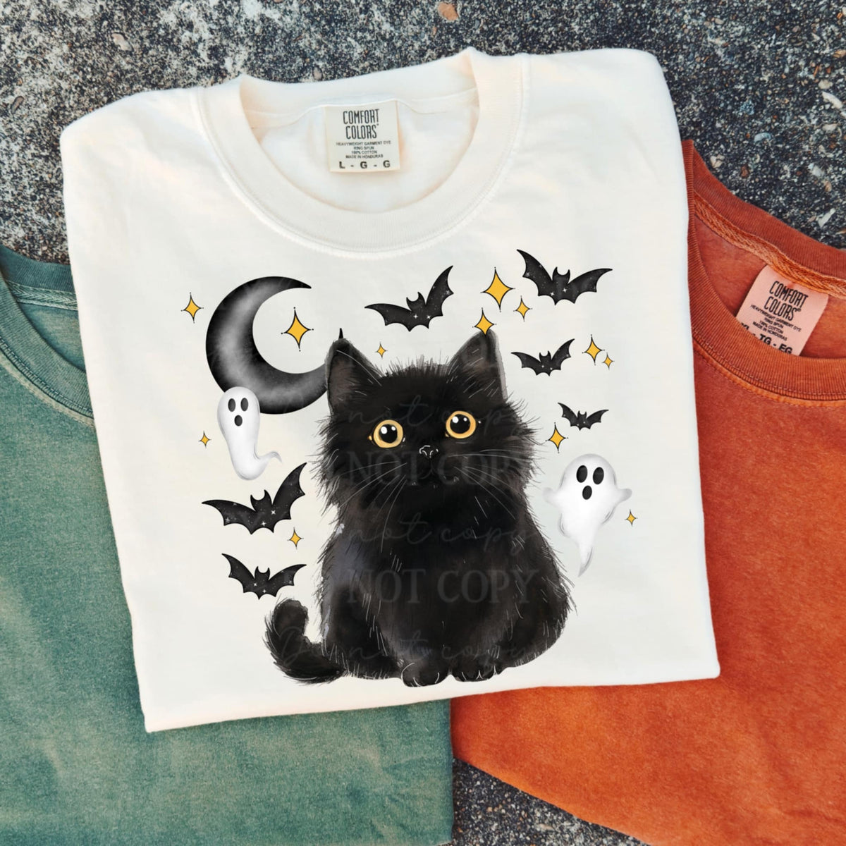 Fluffy Black Cat with ghosts (abd) DTF transfer