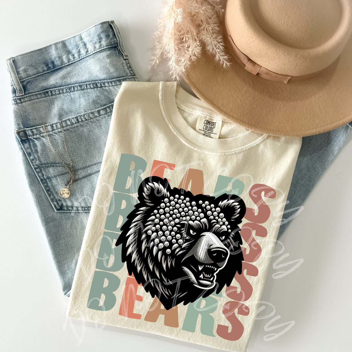 Bears (FDCD) DTF Transfer