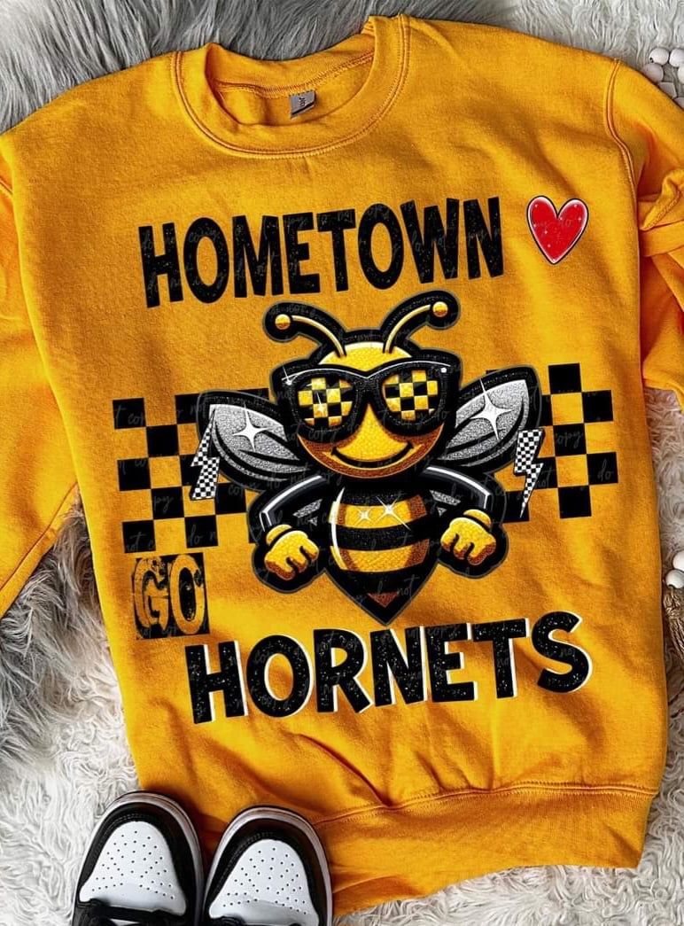 Hometown hornets (VIRGO) 55680 DTF transfer