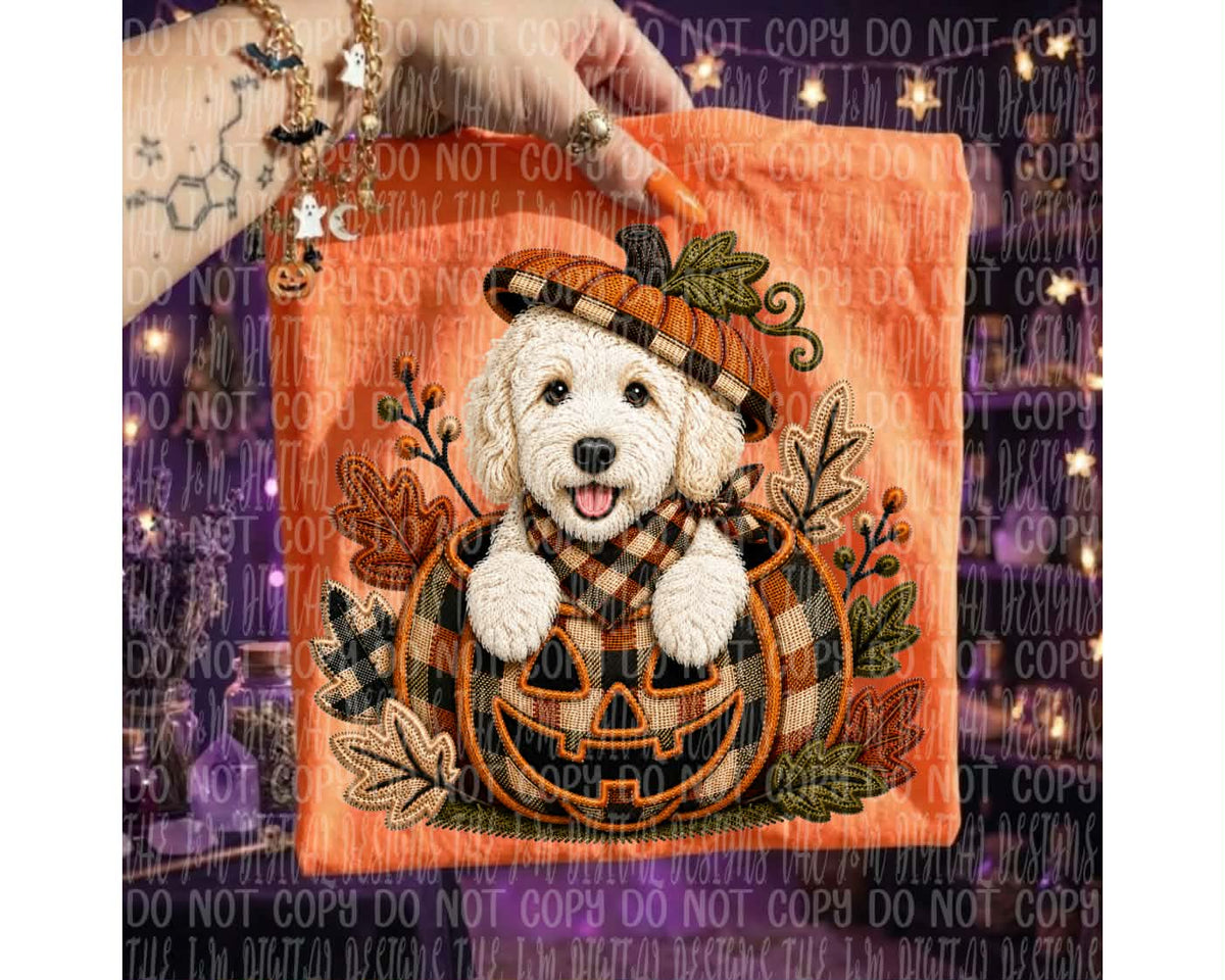 Golden retriever in pumpkin (J&M) DTF transfer