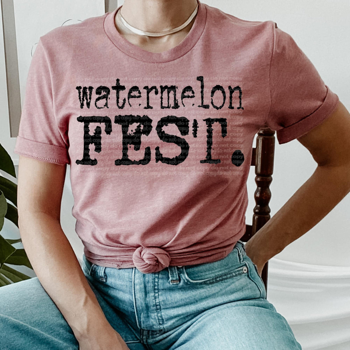 Watermelon fest. (TTD) 95852 DTF transfer
