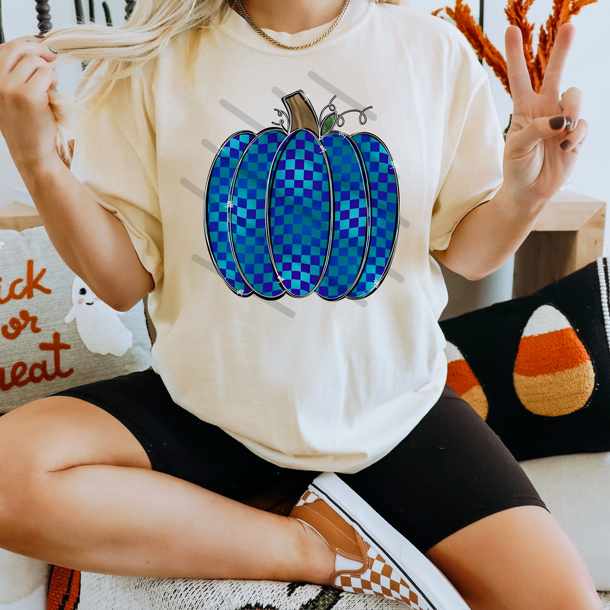 Blue Checker pumpkin 114117 DTF transfer