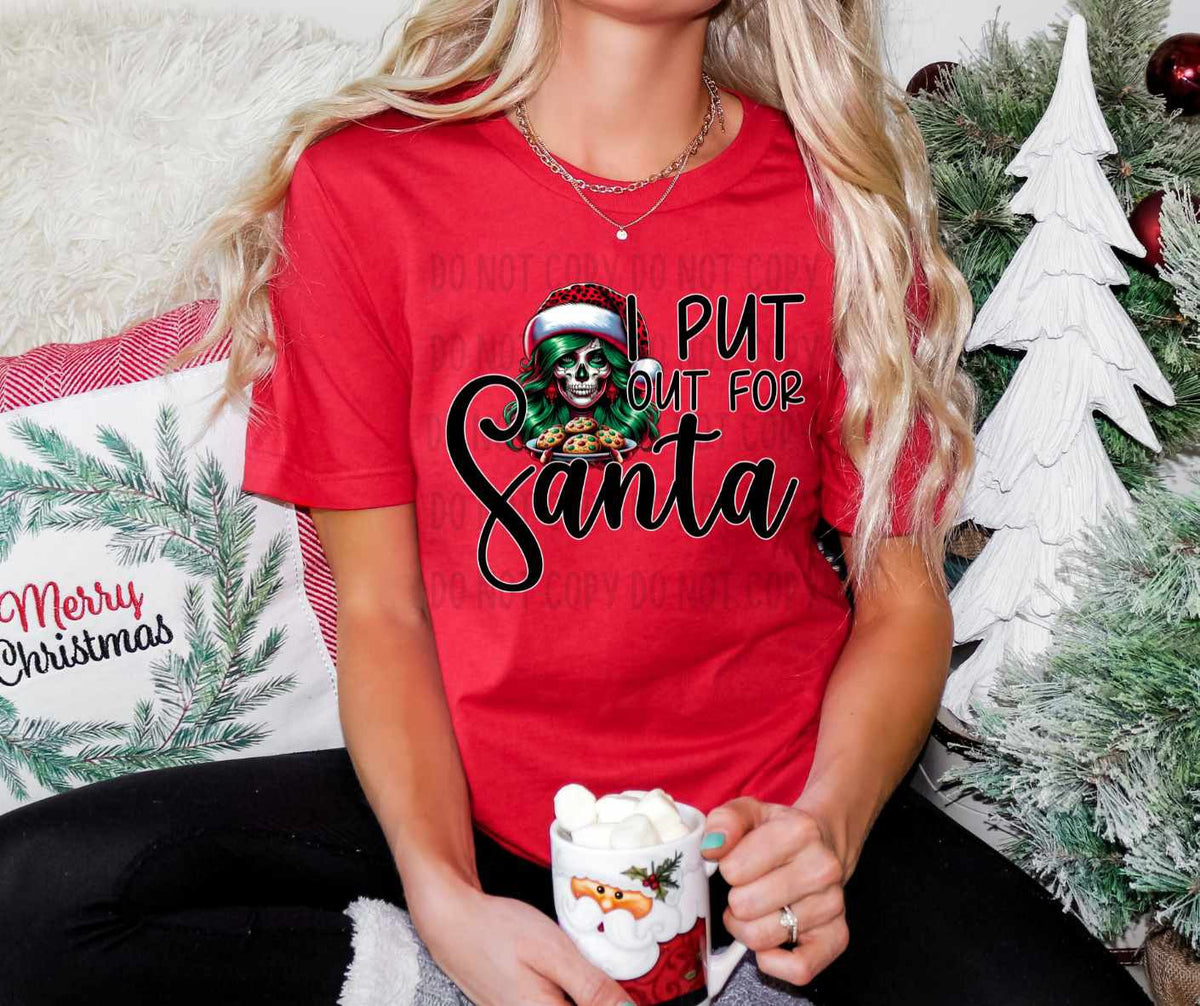 I put out for Santa (CANVI) 64971 DTF transfer