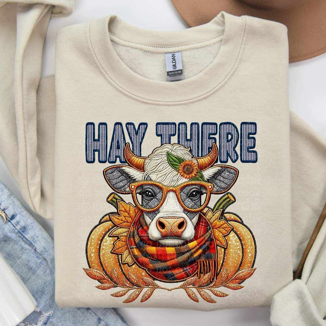 Hay there (TTD) 58765 DTF transfer