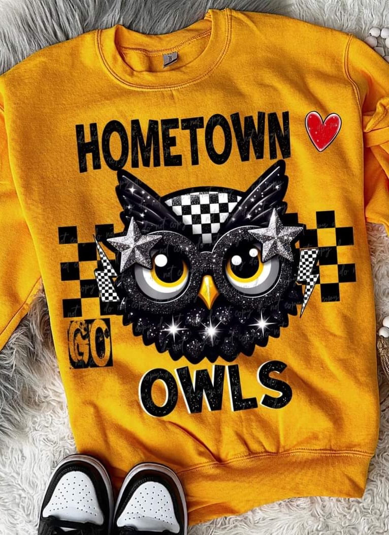 Hometown owls (VIRGO) 55689 DTF transfer