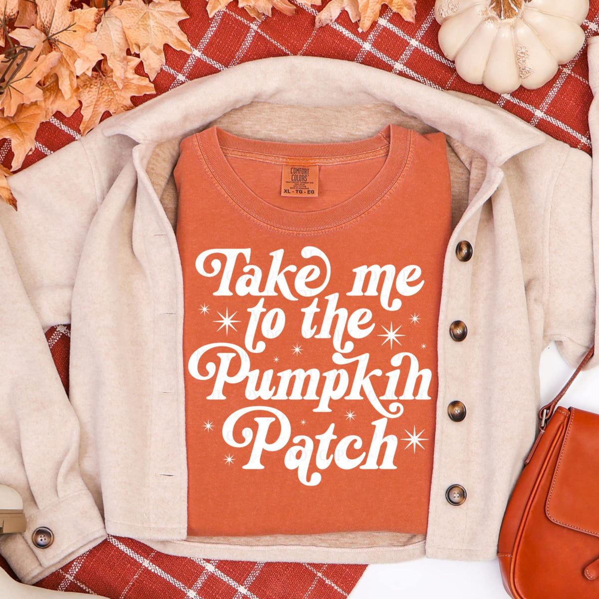 Take me to the pumpkin patch WHITE (abd) DTF transfer