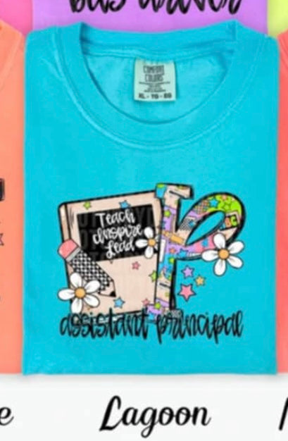 P assistant principal school notebook (SDD) 98693 DTF transfer