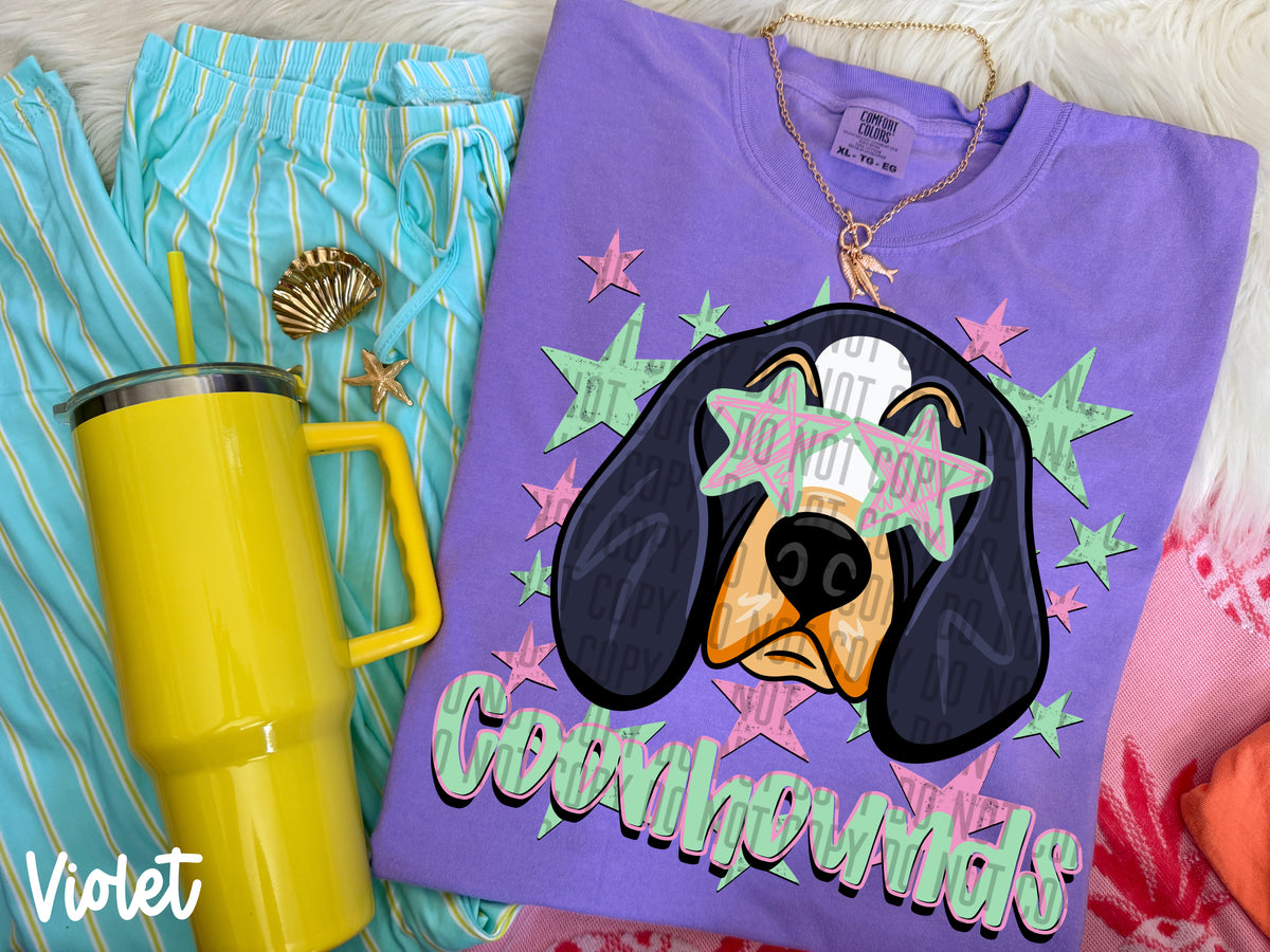 coonhounds starry eyed (Caplinger) DTF Transfer