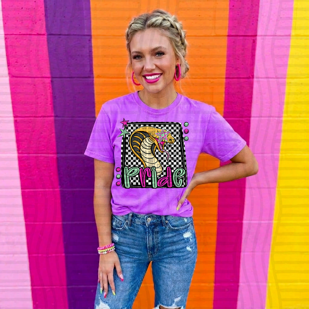 snakes pride preppy checkered square colorful (Caplinger) DTF Transfer