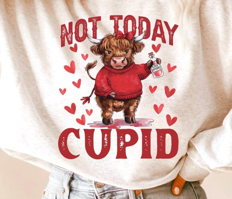 Not today cupid red shaggy cow 75872 DTF transfer
