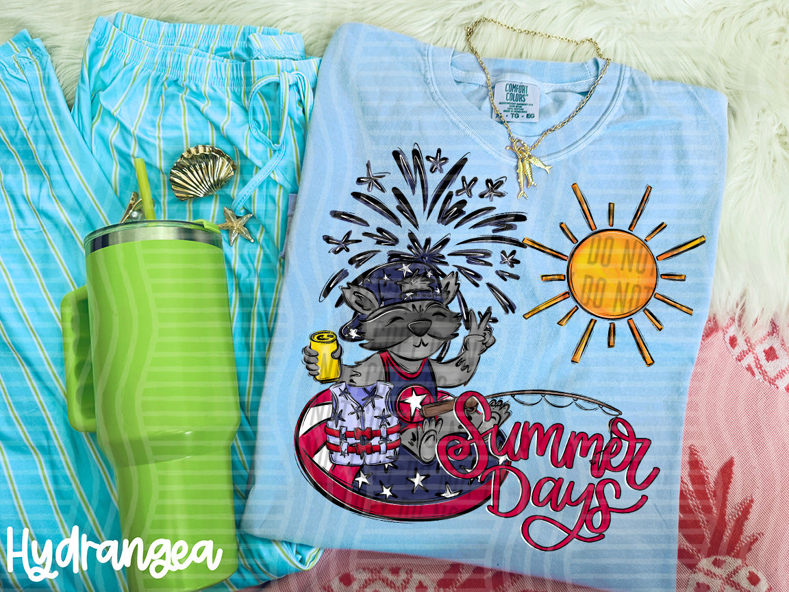 summer days 4th of july (caplinger) DTF transfer