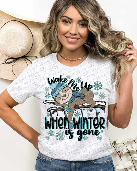 Wake me up when winter is gone (sloth sleep on branch with snowflakes) 9238 DTF TRANSFER