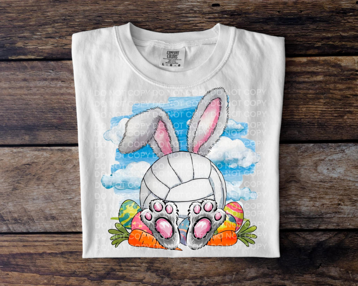Easter volleyball (SCG) 92227 DTF transfer