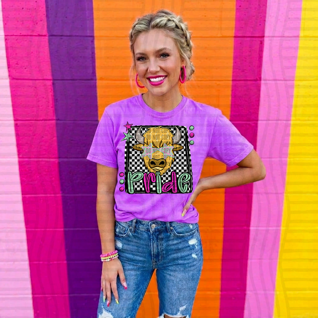 bisons pride preppy checkered square colorful (Caplinger) DTF Transfer