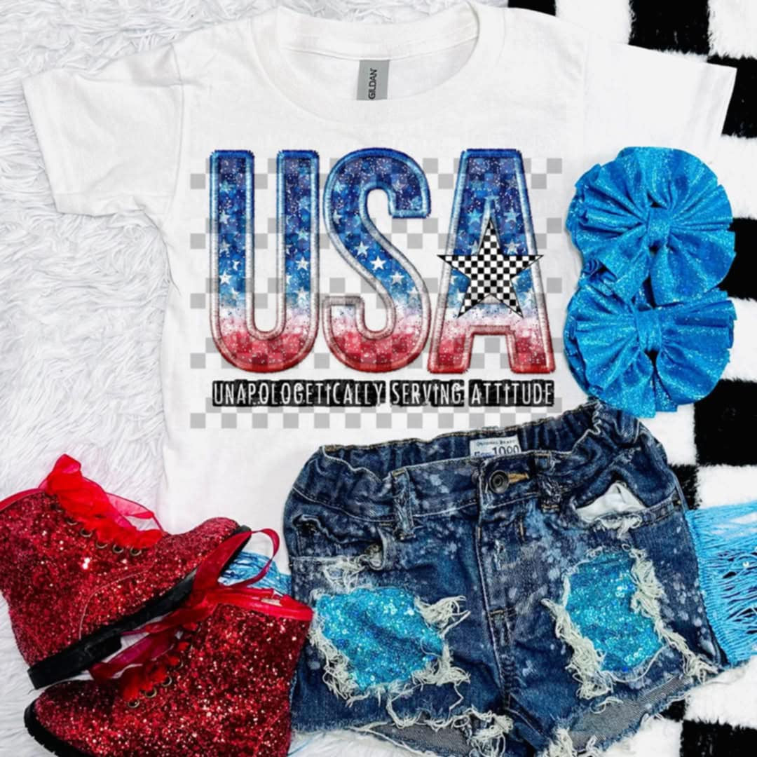 USA unapologetically serving attitude (Texans) 106335 DTF transfer