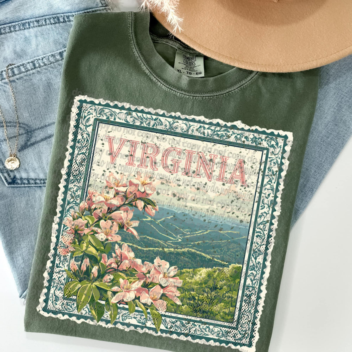Virginia State Stamp (TTD) 99079 DTF transfer