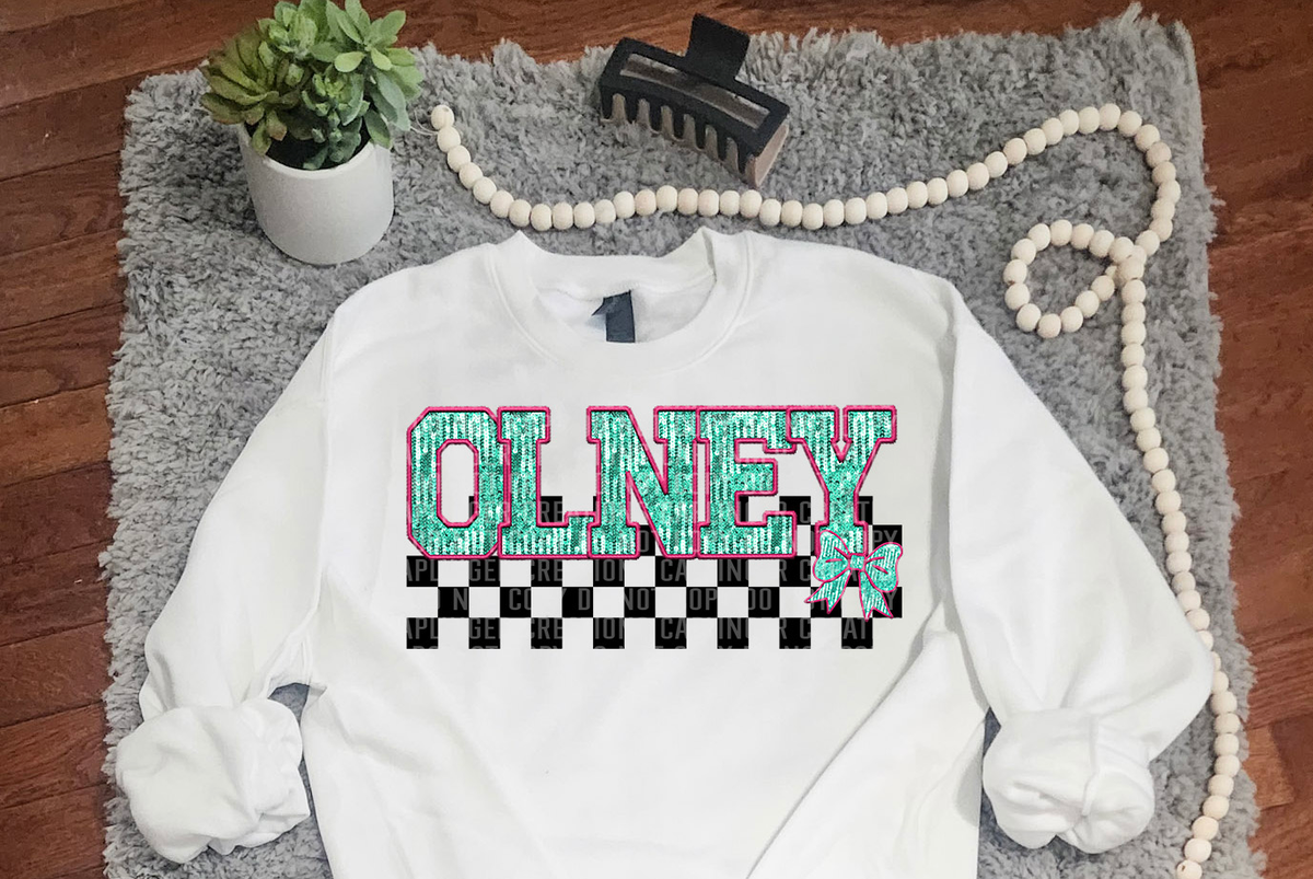 Turquoise And Pink Faux Embroidery Olney 74099 DTF Transfer