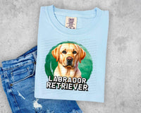 Yellow Labrador Retriever 13883 DTF transfer