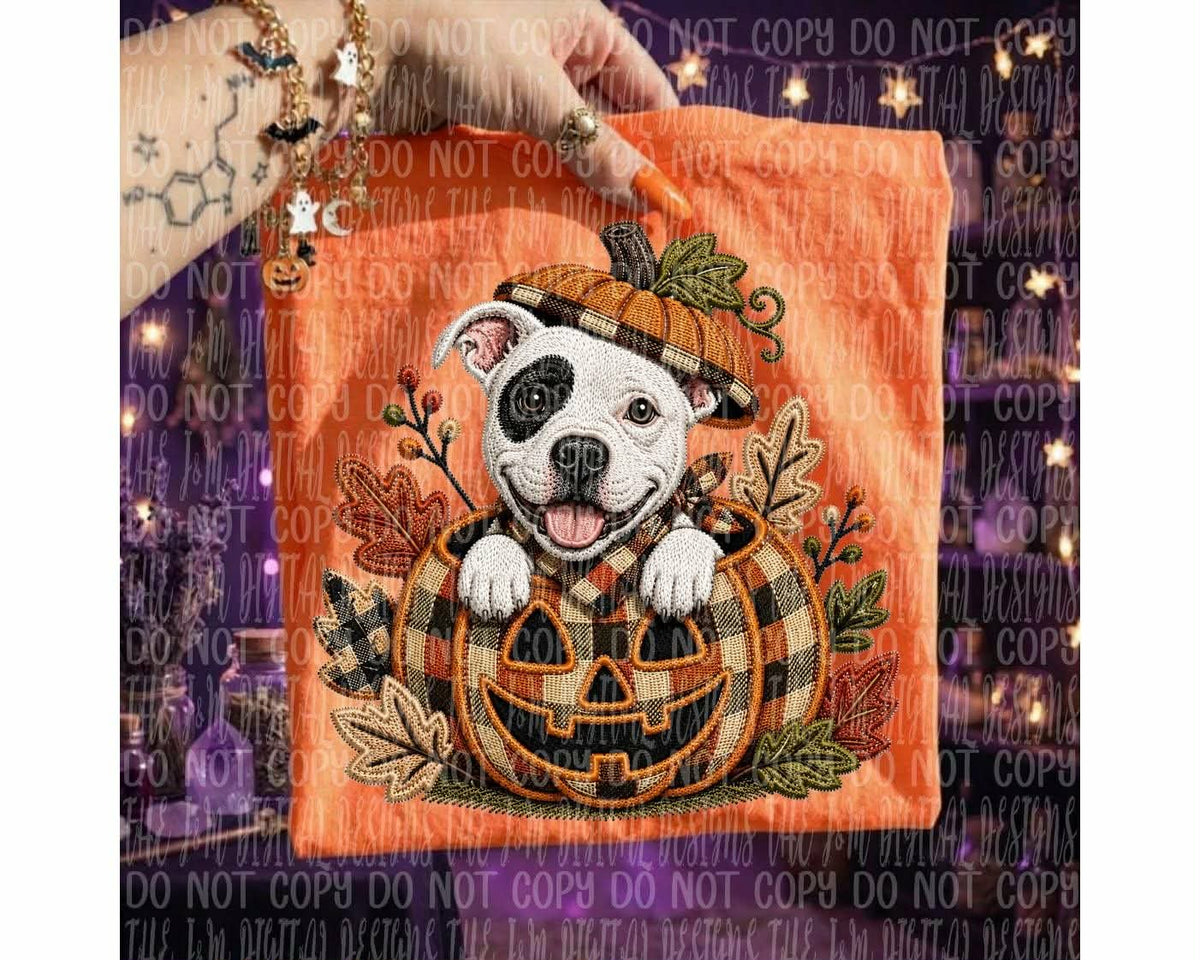 Target dog in pumpkin (J&M) DTF transfer
