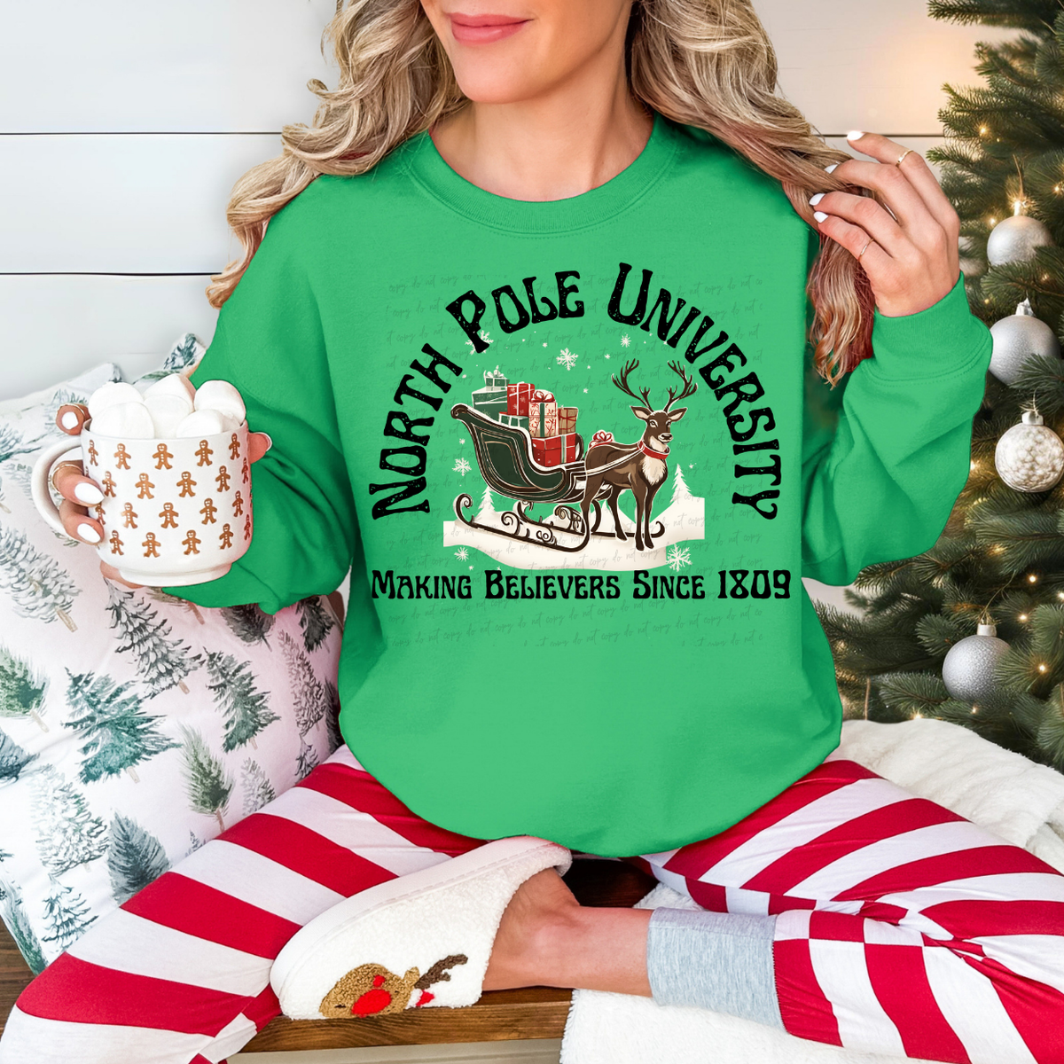 North Pole University 68010 DTF Transfer