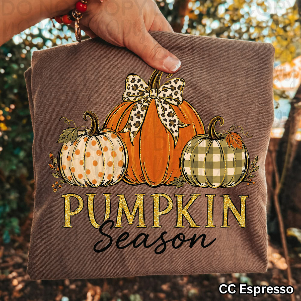 Pumpkin season trio pumpkins Sunday Special DTF transfer