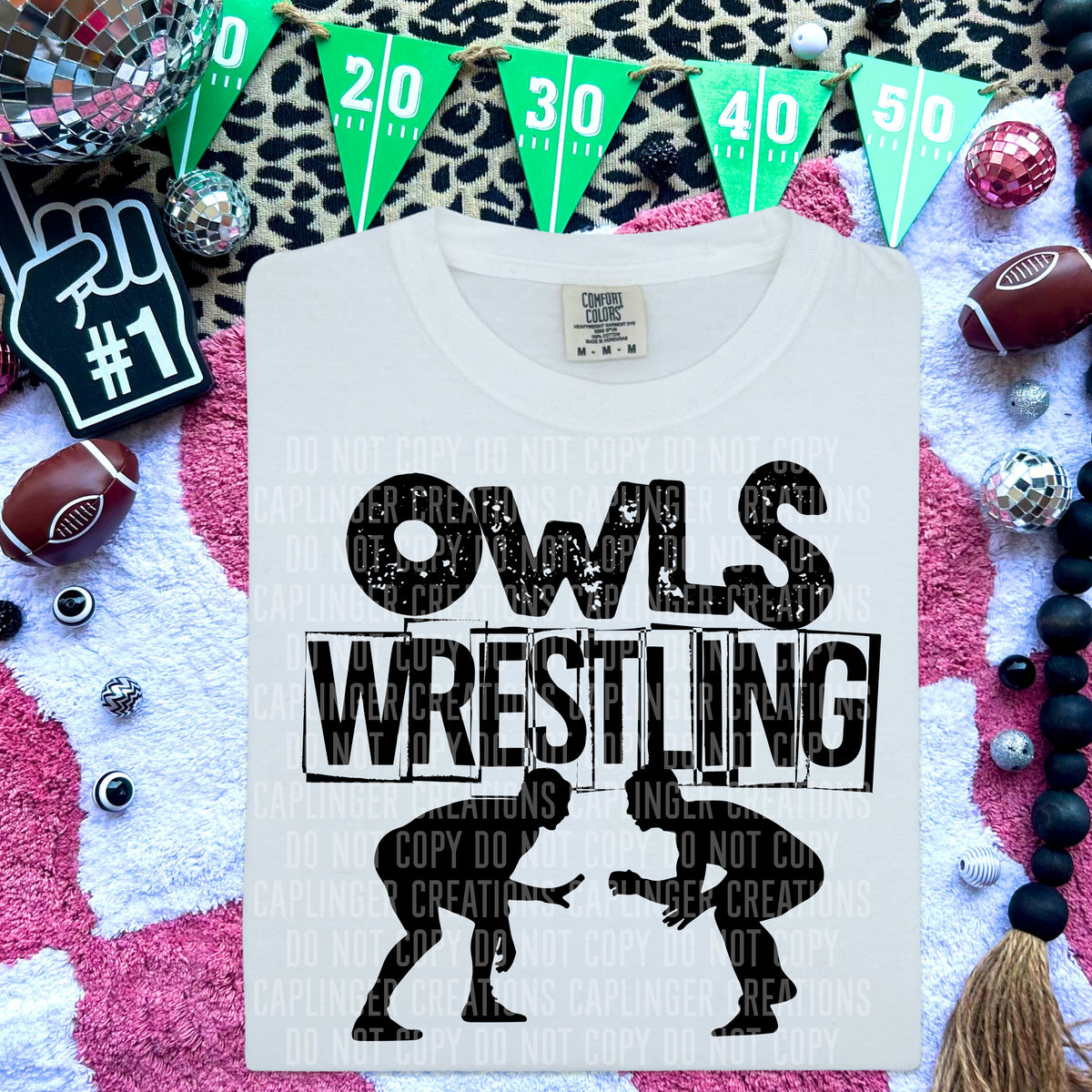 Owls Wrestling (Caplinger) DTF transfer