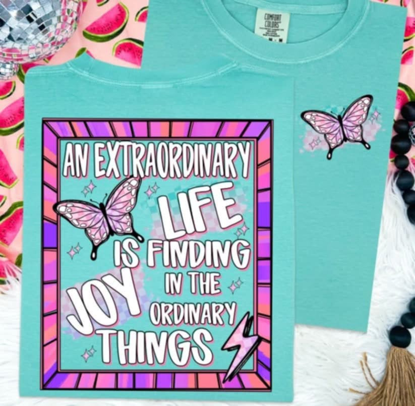 An extraordinary life is finding joy in the ordinary things BACK (S&G) 98779 DTF transfer