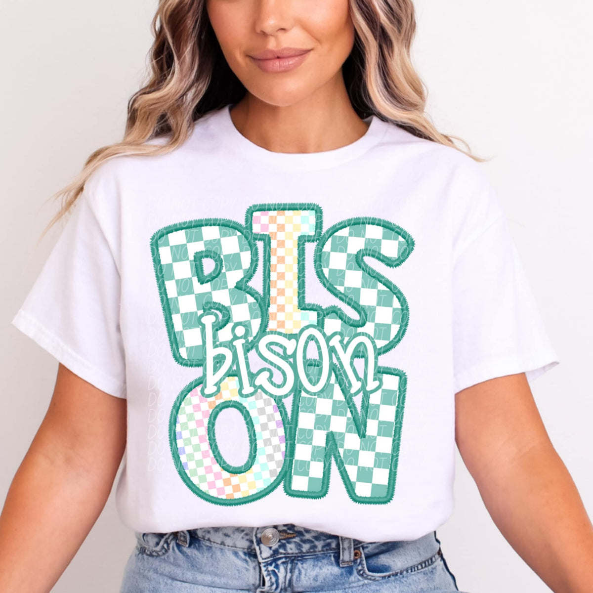 Bison blue and colorful checkered (CITY) 85505 DTF transfer