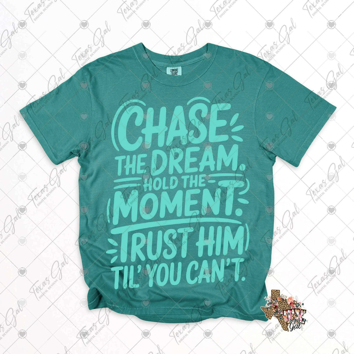 Chase the dream hold the moment BLUE (Texasgal) DTF Transfer