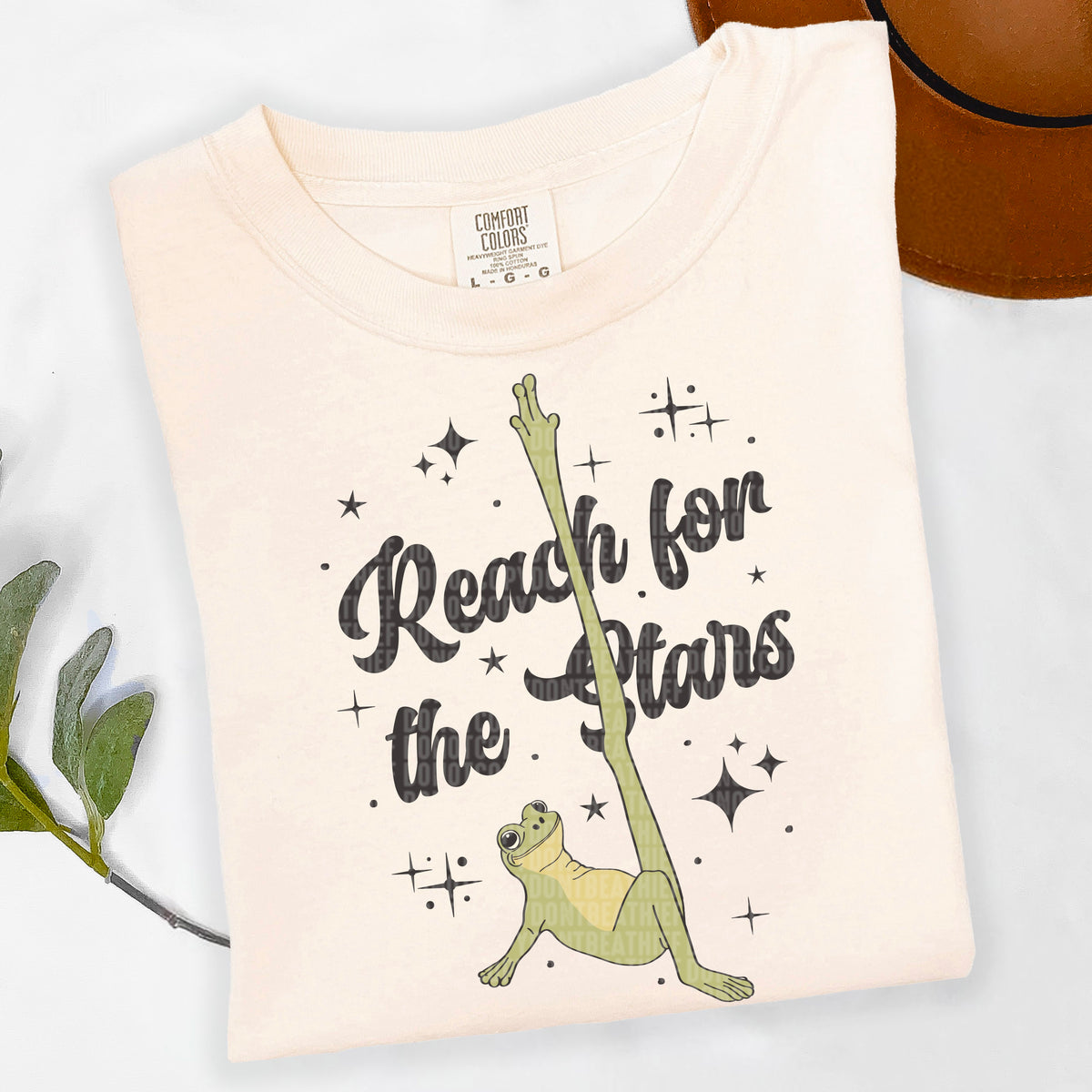 Reach for the stars frog 97597 DTF transfer