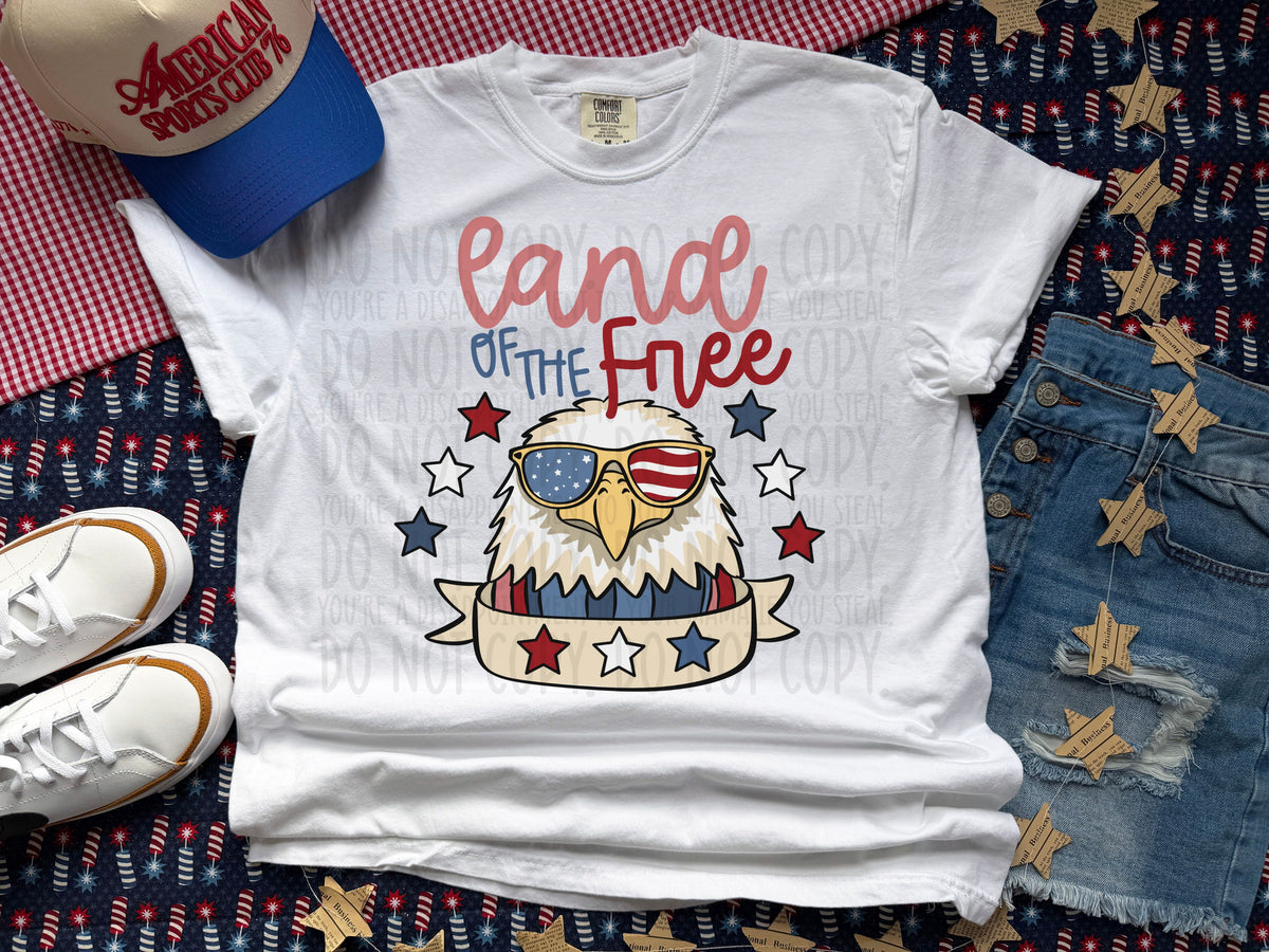 Land of the free eagle (SWD) DTF Transfer