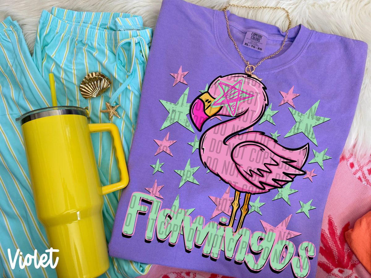 flamingos starry eyed (Caplinger) DTF Transfer