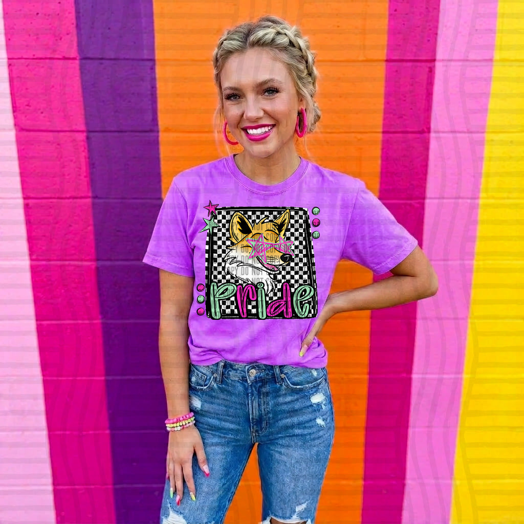fox pride preppy checkered square colorful (Caplinger) DTF Transfer