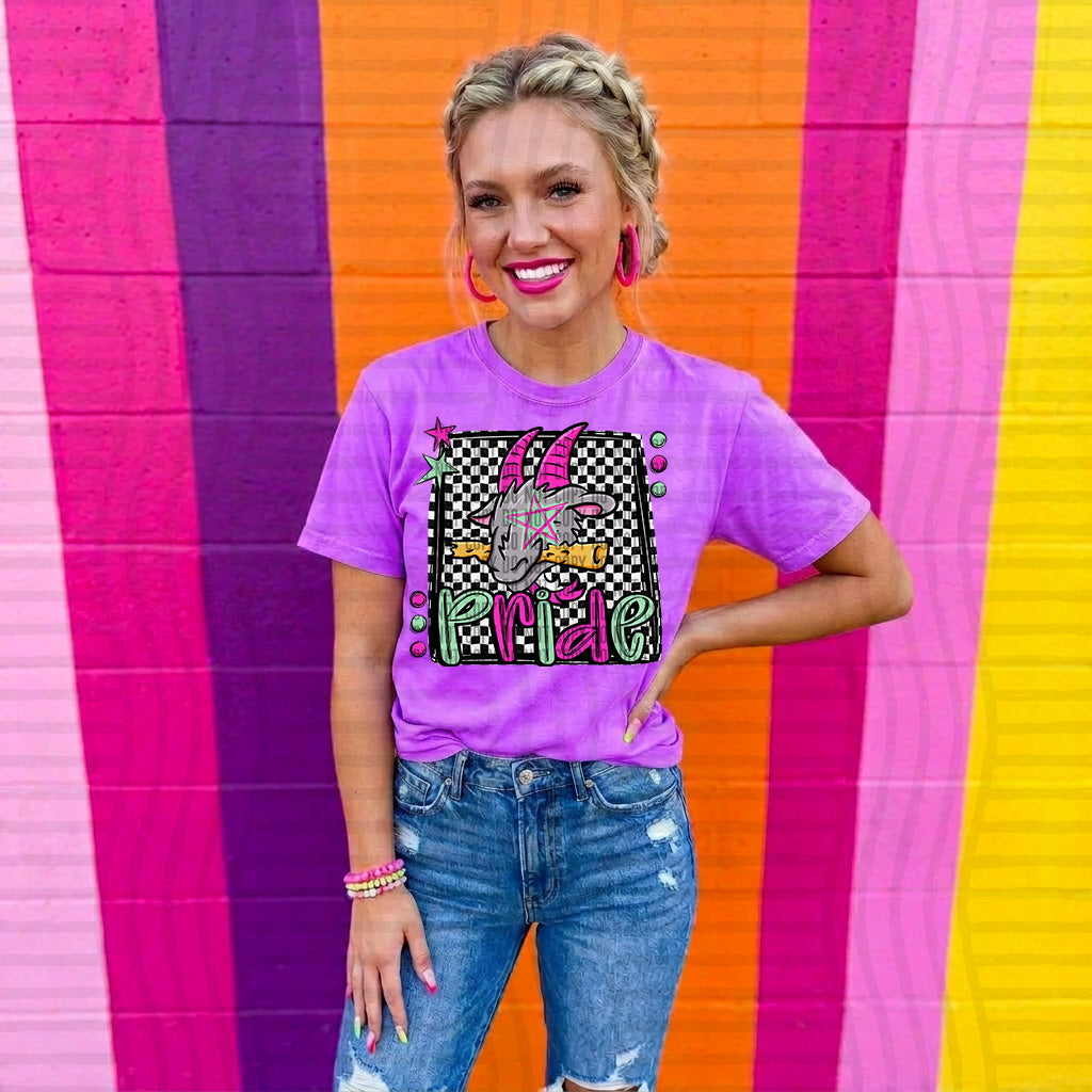 goats pride preppy checkered square colorful (Caplinger) DTF Transfer