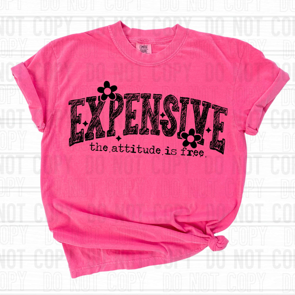 Expensive the attitude is free (SBB) 92025 DTF transfer