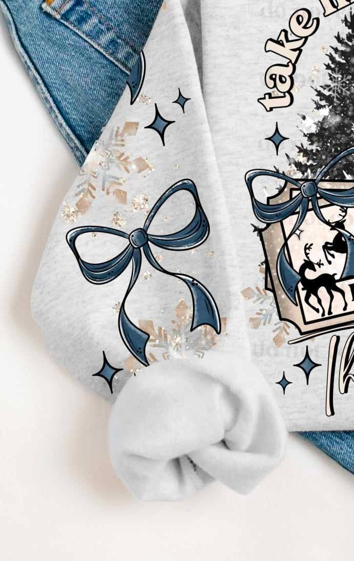 Take me to the North Pole sleeve (CSC) 60673 DTF transfer